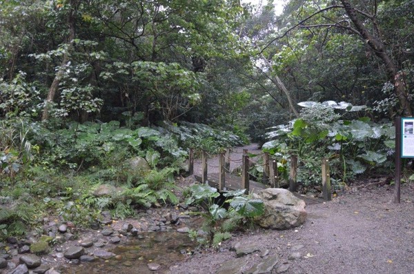 ▲独具沧桑美感 富阳公园中选拍历史纪录剧(图/台北市政府提供)