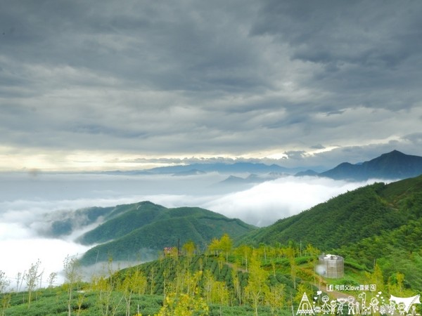 ▲南投鹿谷乡溪头宏亿茶园景观露营地。(图/何师父提供)