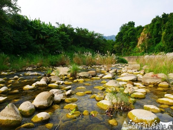▲苗栗大坪左岸亲子露营地。(图/何师父提供)