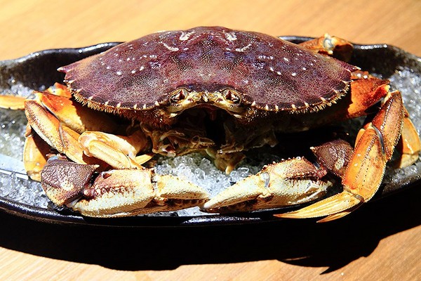 小当家海鲜锅物民生分店。(图/萍子)