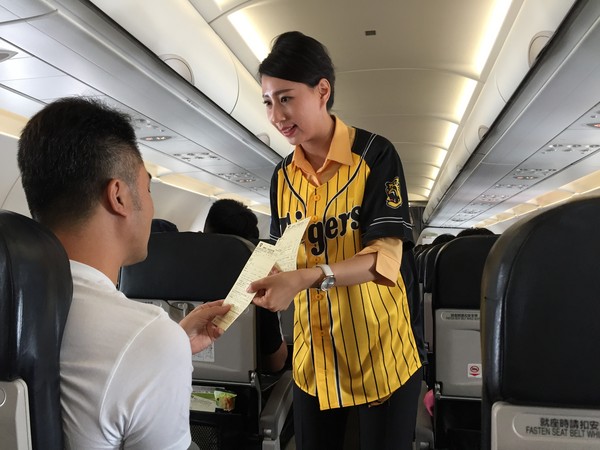 ▲欢庆甲子园“台湾日”,台湾虎航空服员机上改穿阪神虎球衣。(图/台湾虎航提供)