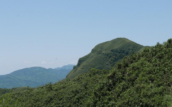 不止登高望海 还能与牛牛野餐