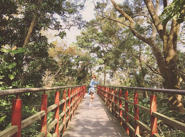 仙迹岩亲山步道(图/网友lysaltypork提供,请勿随意翻拍,以免侵权。)
