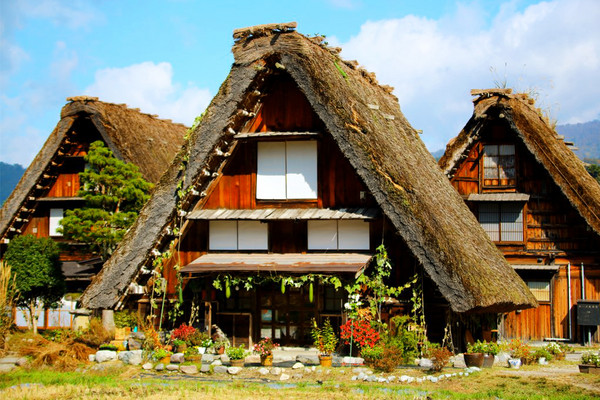 日本秋枫f龙道深V大峡谷赏红叶。（图／翔笙旅游）