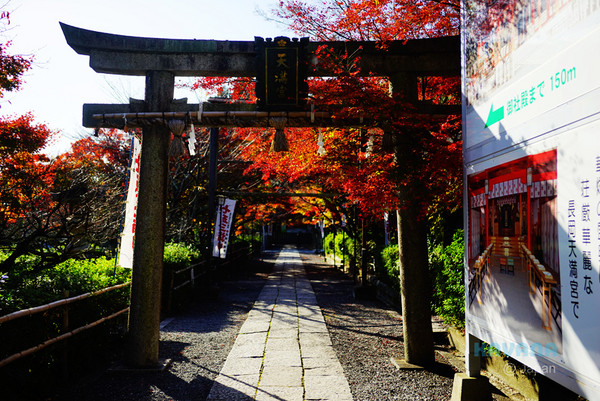 ▲日本长冈天满宫赏枫。（图／卡瓦纳提供）