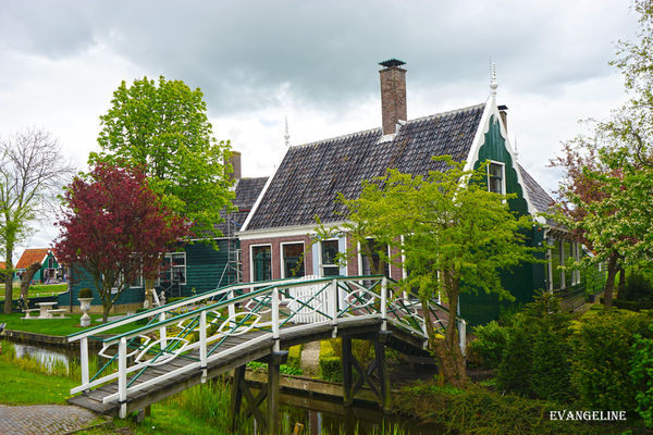 荷比卢自助12天----Zaanse Schans风车村。(图/Evangeline-Evan)