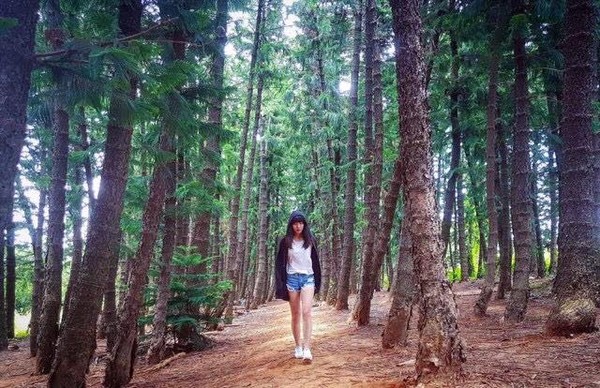 ▲九天黑森林。（图／IG@roy.0706提供，请勿任意翻摄以免侵权）