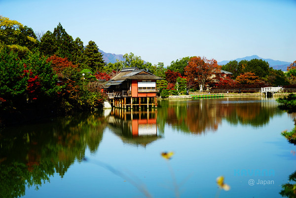▲日本长冈天满宫赏枫。（图／卡瓦纳提供）
