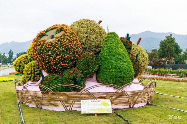 ▲新社花海。(图/好景点提供)