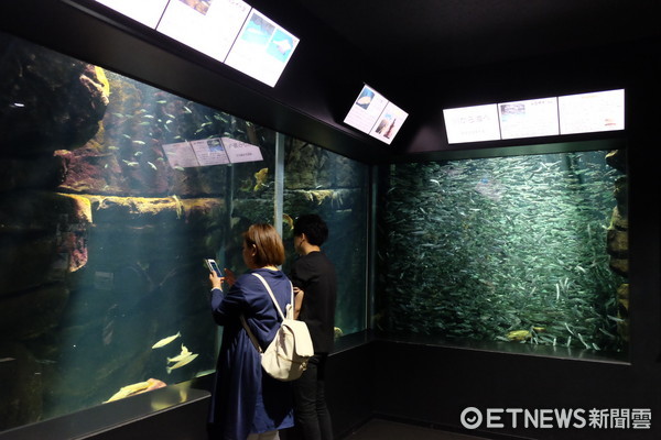▲加茂水族馆。(图/记者于佳云摄)