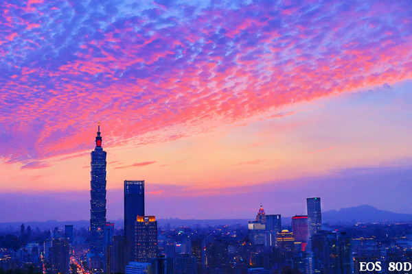▲台北101夜景虎山峰。(图/小白鲸摄)