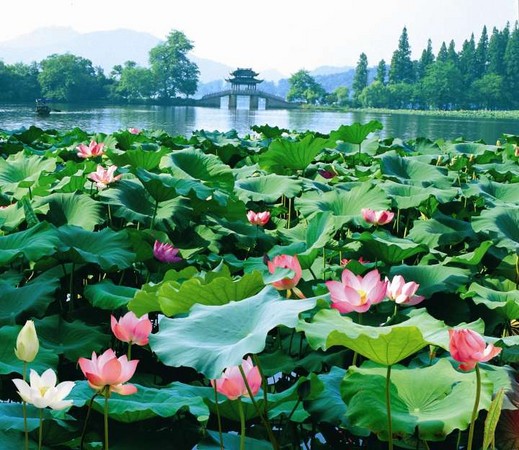 ▲杭州西湖(图/杭州市旅游委员会提供)