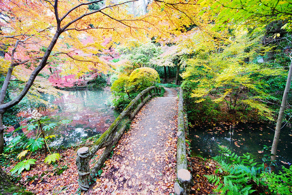▲京都府立植物园。（图／卡瓦纳提供）