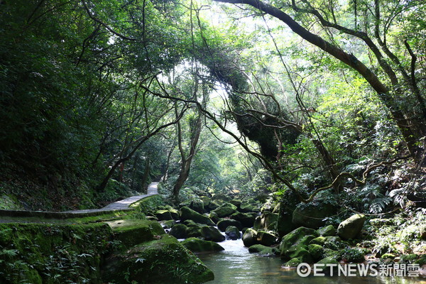 ▲台北亲山步道。(图/台北市政府提供)
