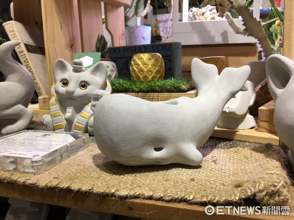 ▲多肉植物。(图/实习记者张舒芸摄)