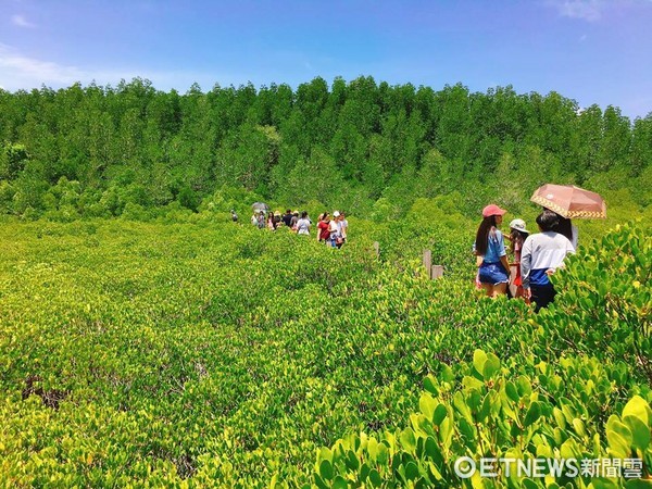 ▲泰国罗永府黄金水鼻仔。(图/记者蔡玟君摄)