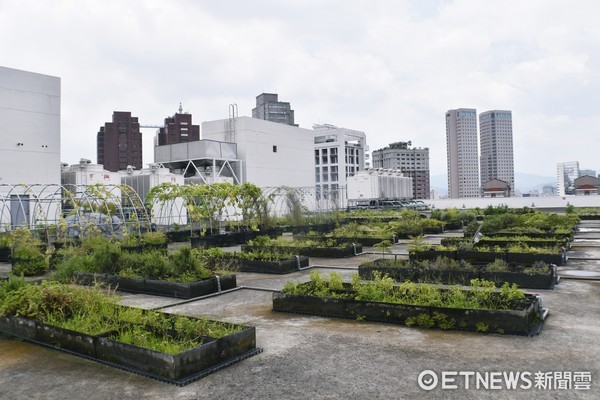 ▲包心菜实验厨房。(图/记者陈涵茵摄)