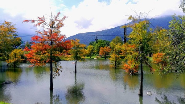 ▲松湖驿站。(图/网友宋泓毅、陈景翔提供,请勿随意翻拍,以免侵权。)