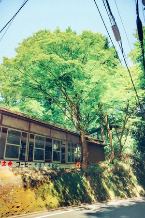 日本京都 贵船口?。(图/李佑群)