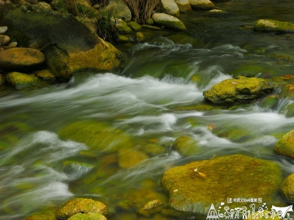 ▲苗栗大坪左岸亲子露营地。(图/何师父提供)