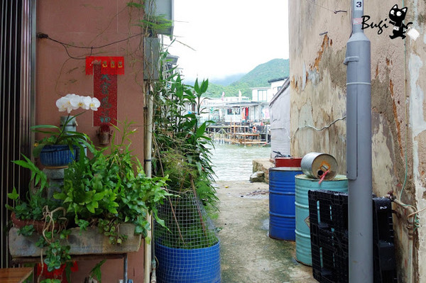 水上人家“大澳”。(图/不羁)