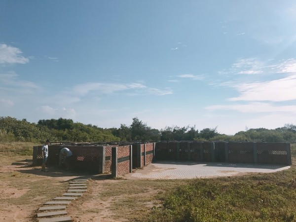 ▲北海岸热门IG景点。(图/MOMOCO提供)