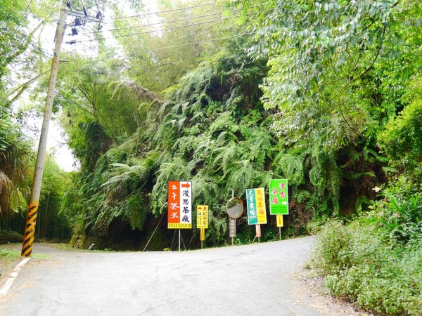 ▲南投鹿谷乡溪头宏亿茶园景观露营地。(图/何师父提供)