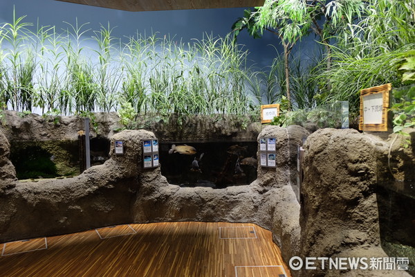 ▲加茂水族馆。(图/记者于佳云摄)