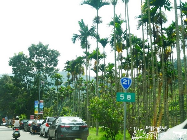 ▲南投幸福城堡亲子露营地。(图/何师父提供)