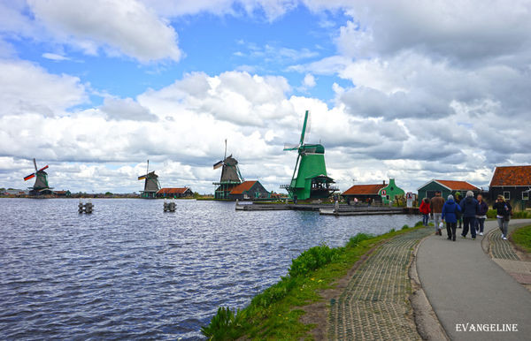 荷比卢自助12天----Zaanse Schans风车村。(图/Evangeline-Evan)