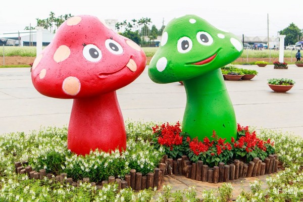 ▲新社花海。(图/好景点提供)