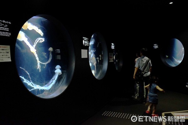▲加茂水族馆。(图/记者于佳云摄)