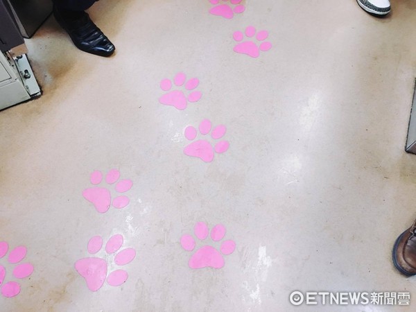 ▲东京东急电铁世田谷线招财猫电车。(图/记者蔡玟君摄)