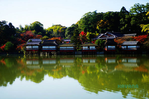▲日本长冈天满宫赏枫。（图／卡瓦纳提供）