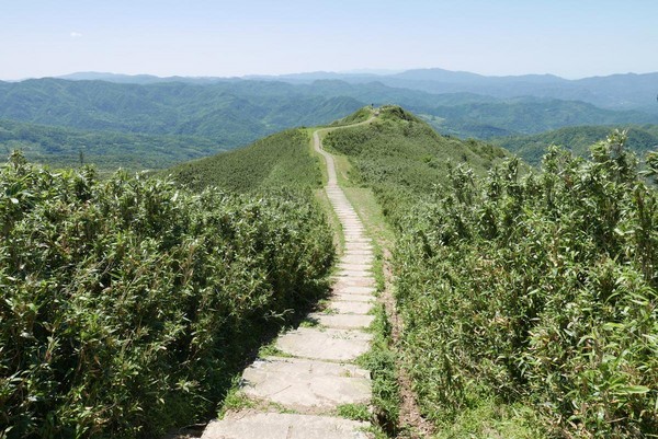 不止登高望海 还能与牛牛野餐