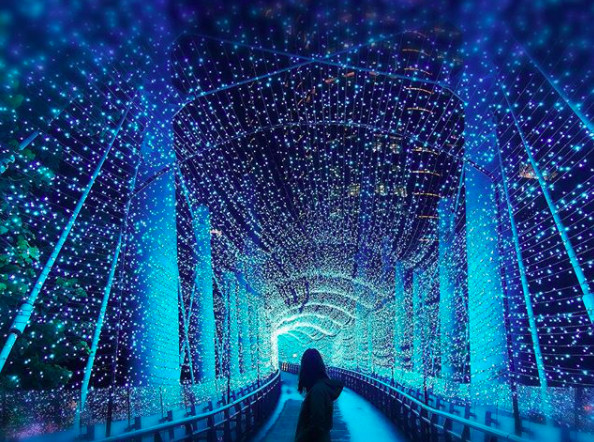 ▲新北耶诞城灯海。(图/网友提供,请勿随意翻拍,以免侵权。)