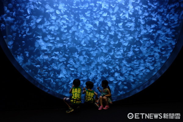 ▲加茂水族馆。(图/记者于佳云摄)