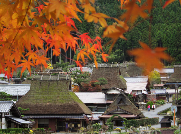 ▲日本京都赏枫。(图/凤凰旅行社提供)