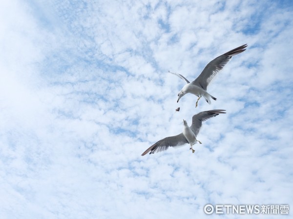 ▲加茂水族馆。(图/记者于佳云摄)