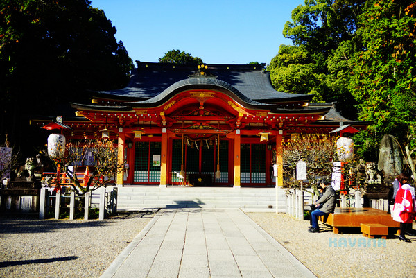 ▲日本长冈天满宫赏枫。（图／卡瓦纳提供）