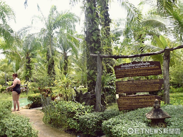▲Nattha Waree温泉度假村(图/记者陈涵茵摄)
