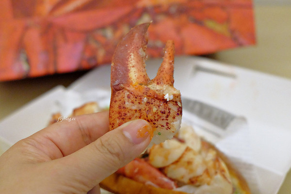 龙虾小姐．Lady Lobster（图／飞天璇）