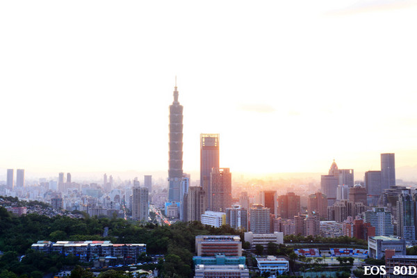 ▲台北101夜景虎山峰。(图/小白鲸摄)