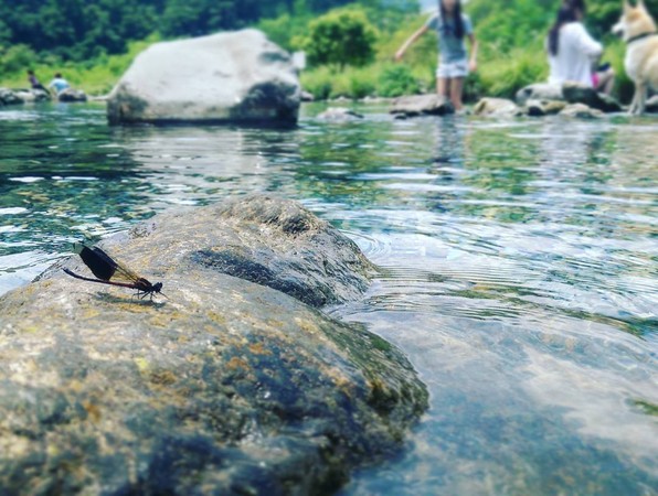 ▲东岳涌泉。(图/网友tashatei提供,请勿随意翻拍,以免侵权。)