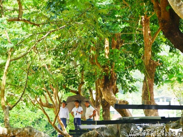 ▲苗栗大坪左岸亲子露营地。(图/何师父提供)