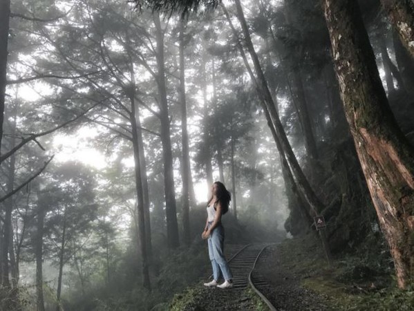 ▲见晴怀古步道。（图／IG@season8401提供，请勿任意翻摄以免侵权）