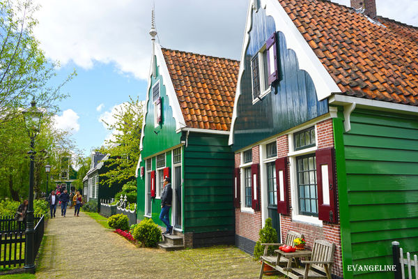 荷比卢自助12天----Zaanse Schans风车村。(图/Evangeline-Evan)