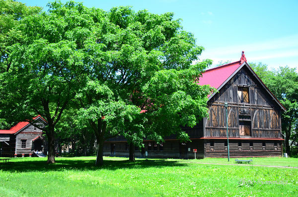 北海道大学。（图／摩那卡）