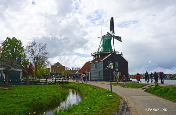 荷比卢自助12天----Zaanse Schans风车村。(图/Evangeline-Evan)