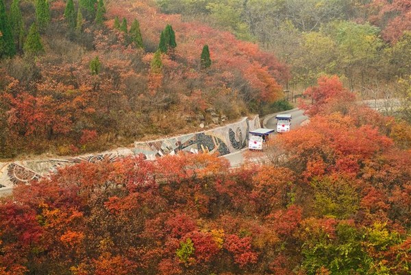 ▲中国赏枫山水风情。（图／喜鸿假期提供）